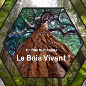 Coffret Film « Le Bois Vivant »
